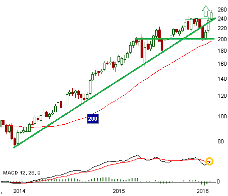 Chart: Sartorius