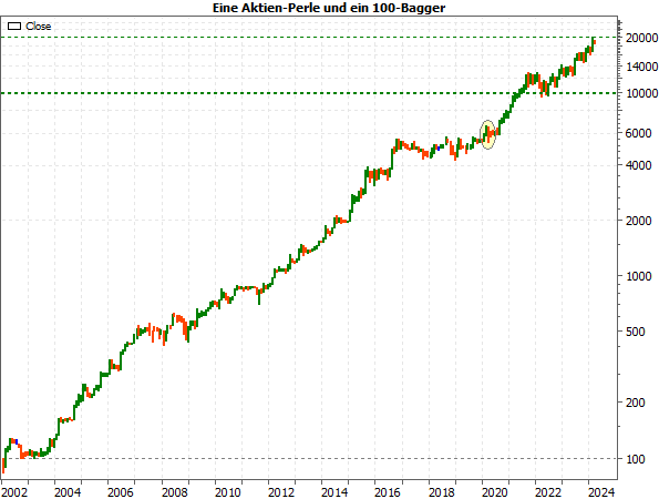 20240318b_Aktien-Perle